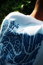 trippy_vol_II thumbnail